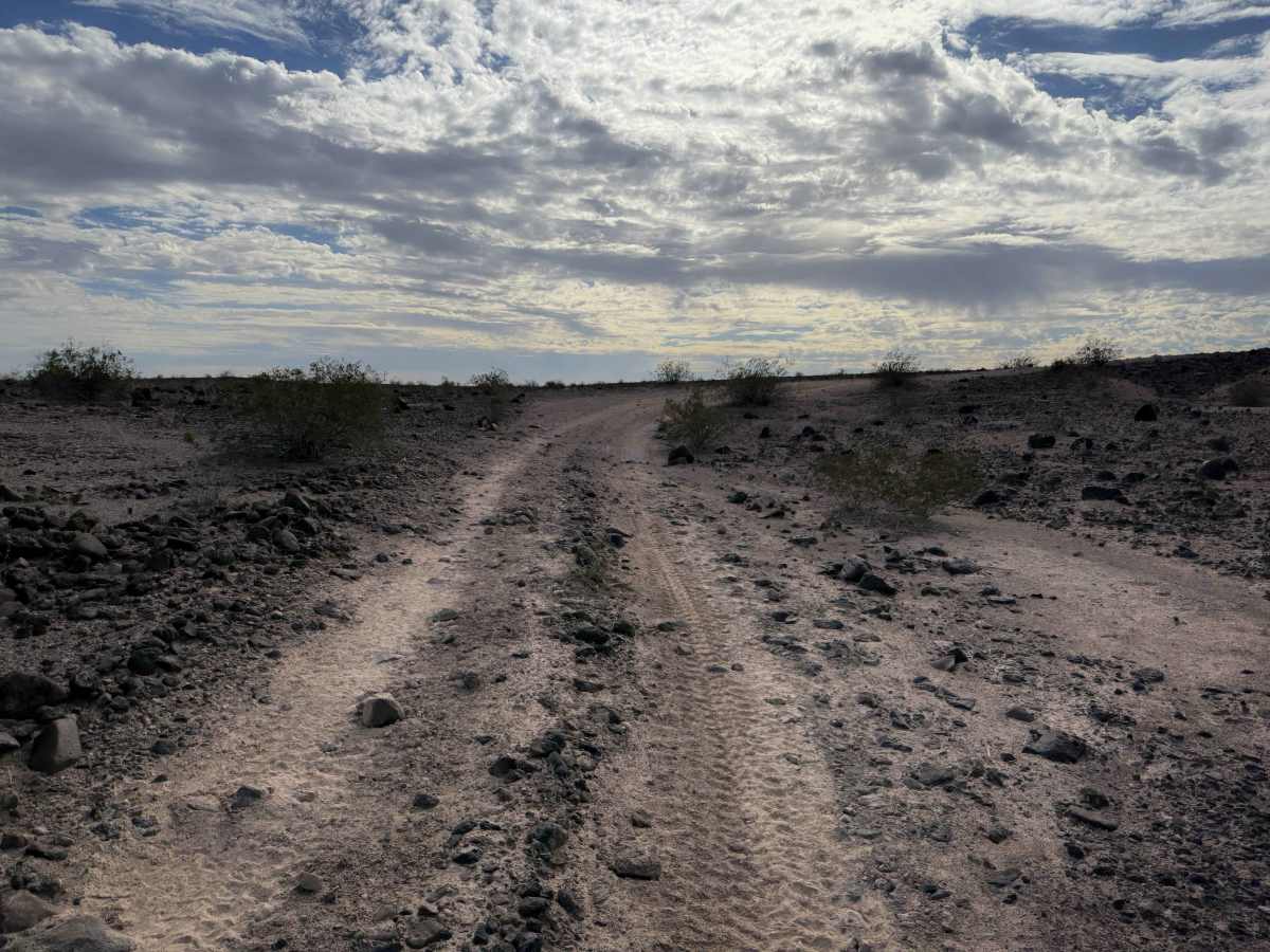 Sonoran Desert Flats  trail photo