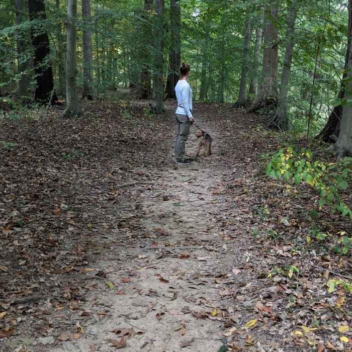 The trails are in great shape! Hardpacked and would be great for biking. Near Flatwoods Trail
