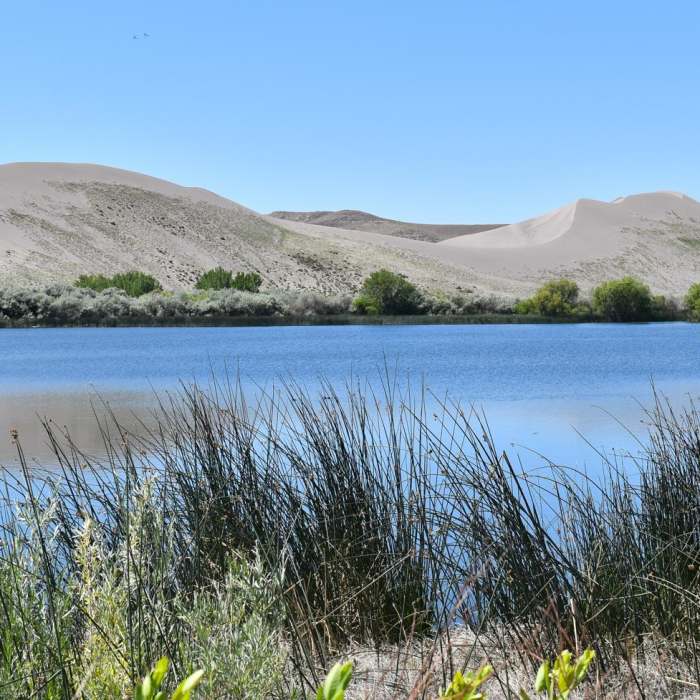 Near The Dunes 6 Mile Hiking Trail