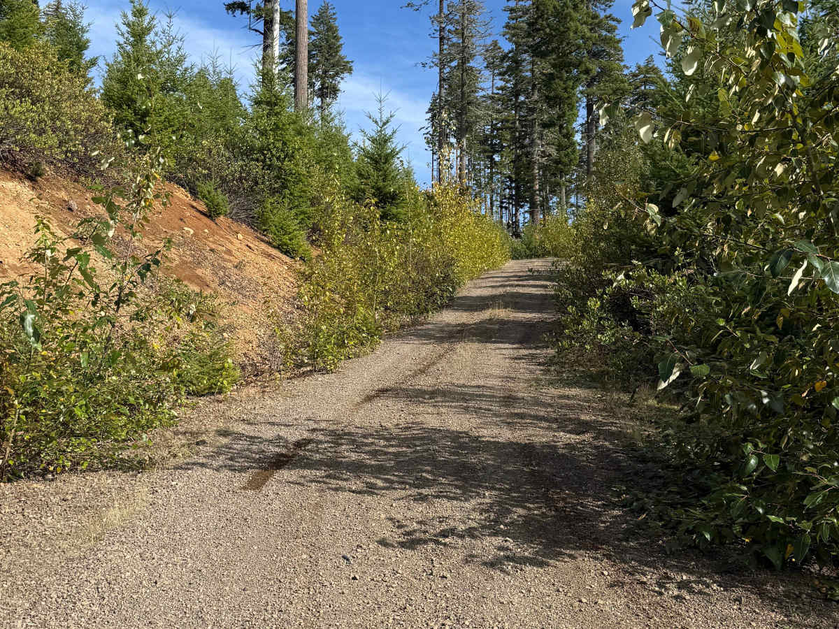 DNR Road 124 photo 3