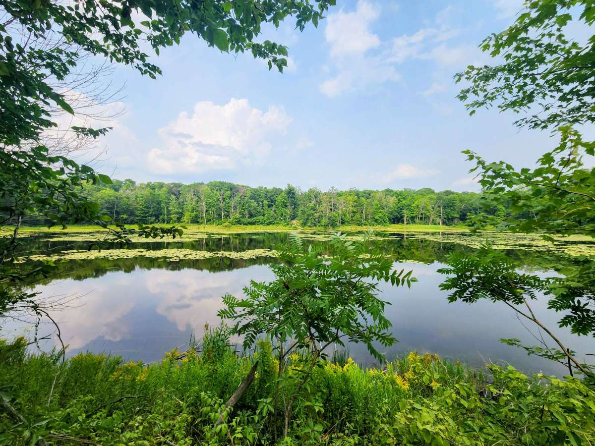 FR 2289 trail photo