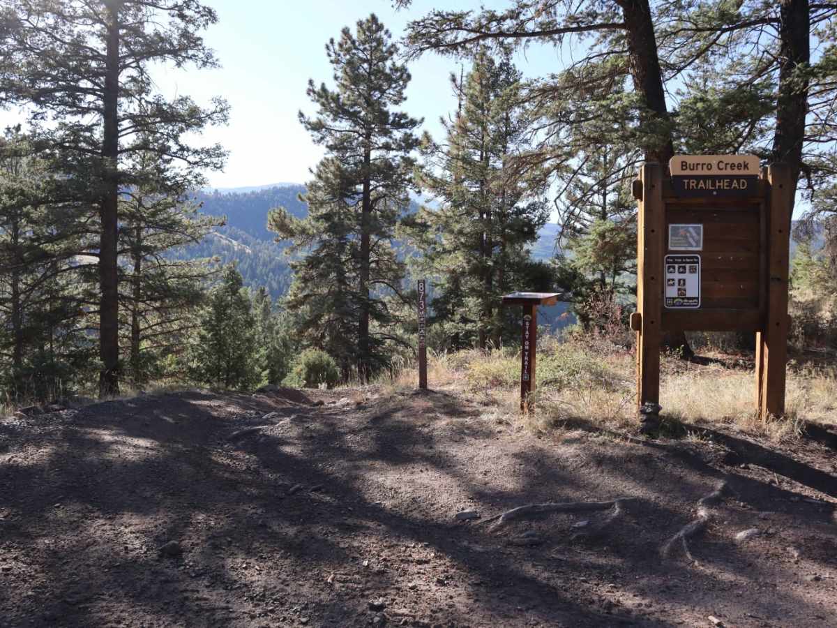 Burro Creek Trail photo 6