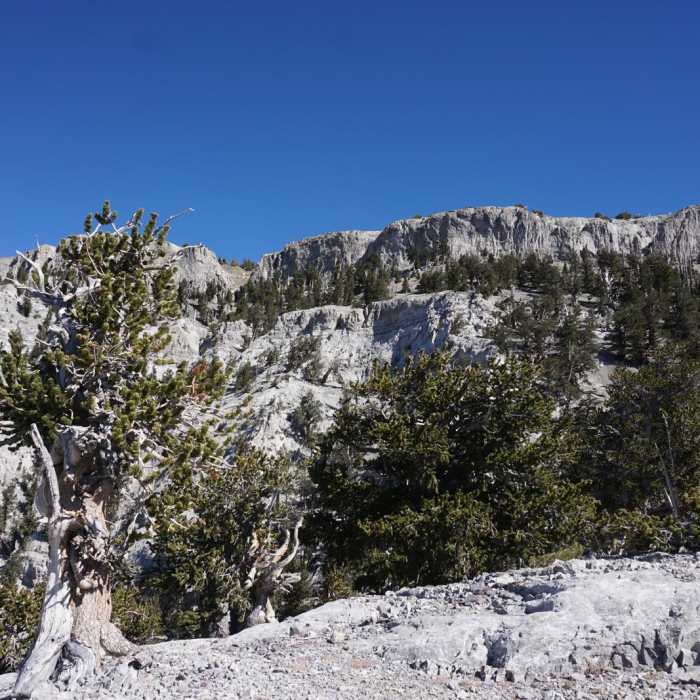 Near Mummy Mountain via Trail Canyon