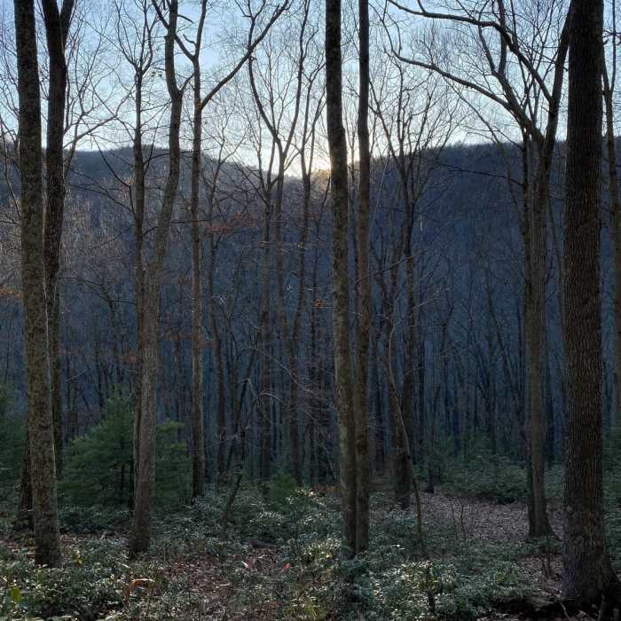 Near Loyalsock to Smiths Knob