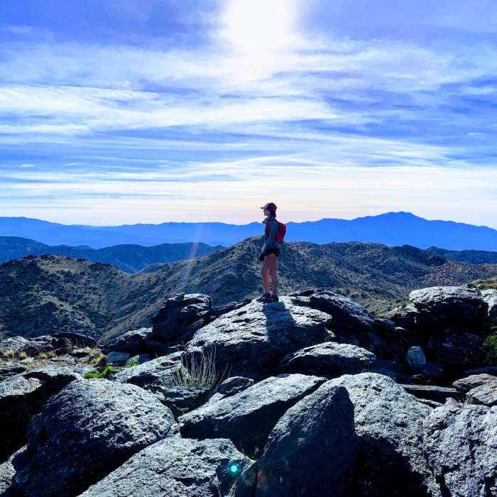 Near Quail Mountain Loop