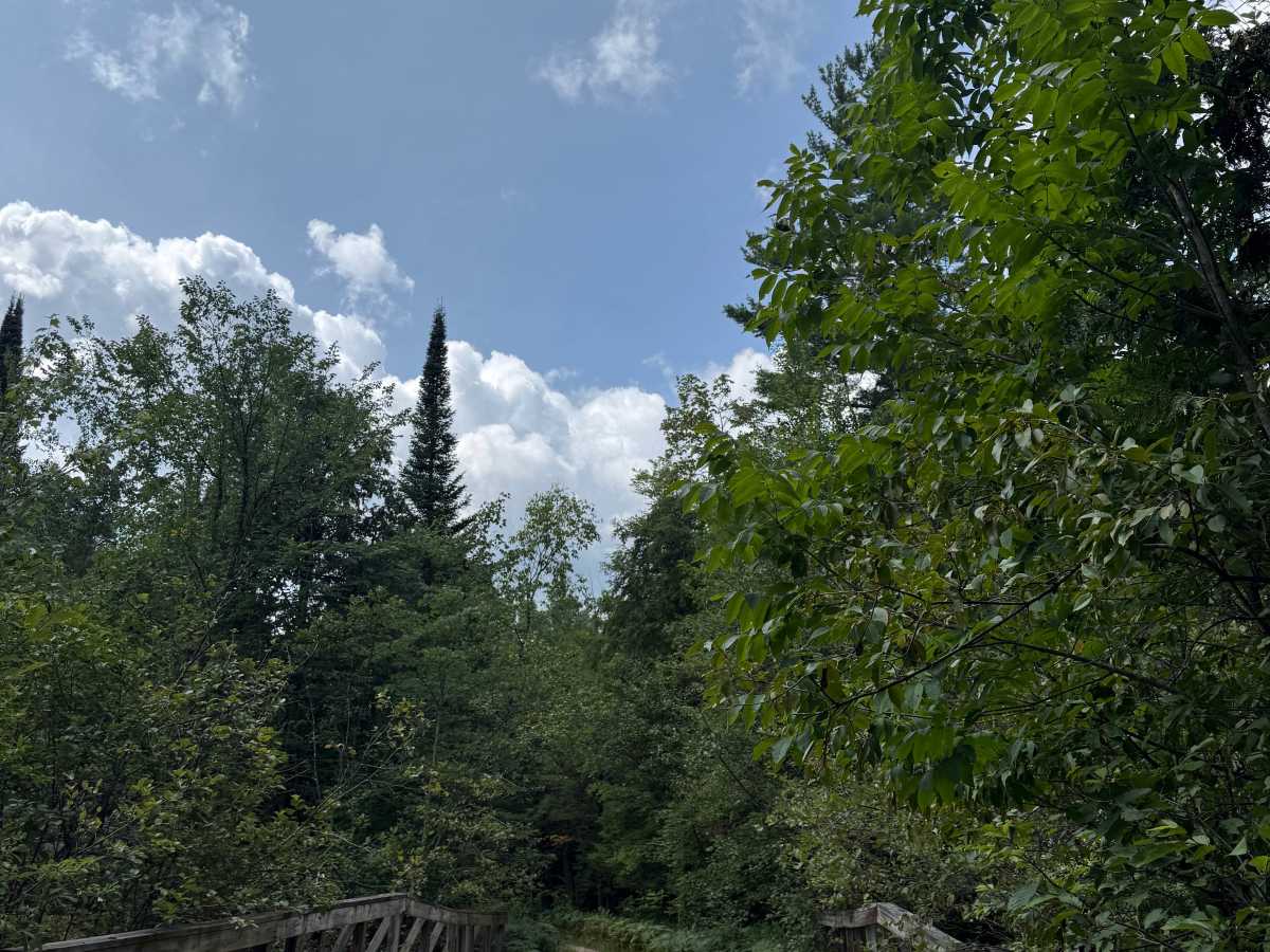 3rd Creek Trail trail photo