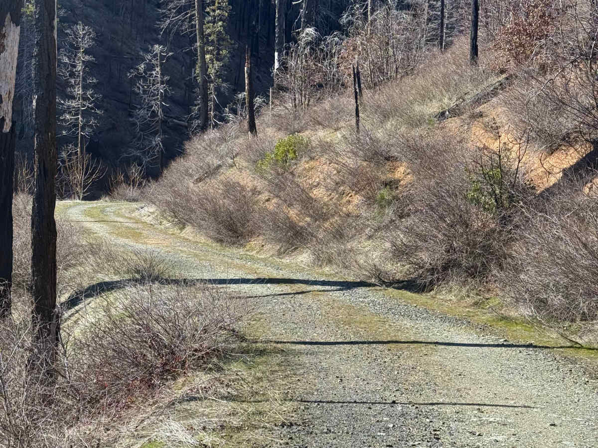 Oak Flat trail photo