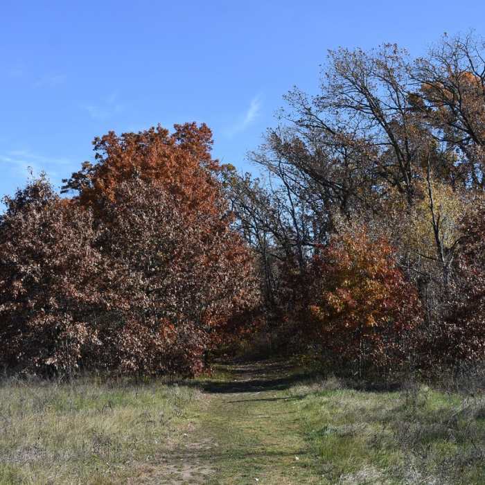 Near Mahnomen National Recreation Trail Near Mahnomen National Recreation Trail