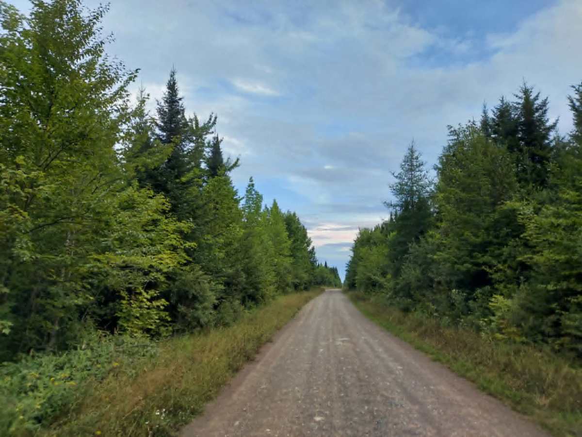 11-4 Road photo 3