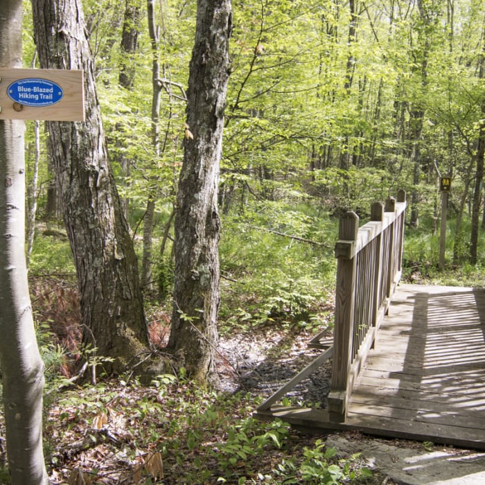 Near Chatfield Trail
