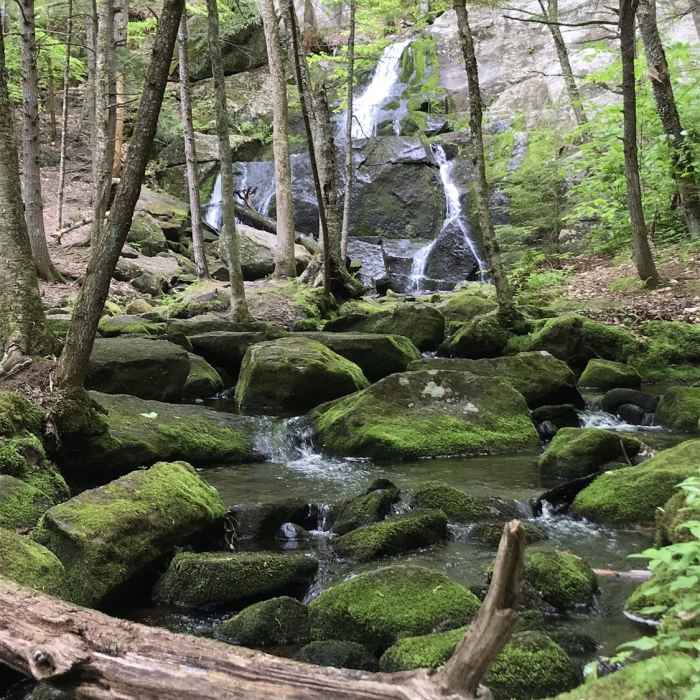 Rainbow Falls in the Walter - Newton Natural Area. Near Walter - Newton Loop
