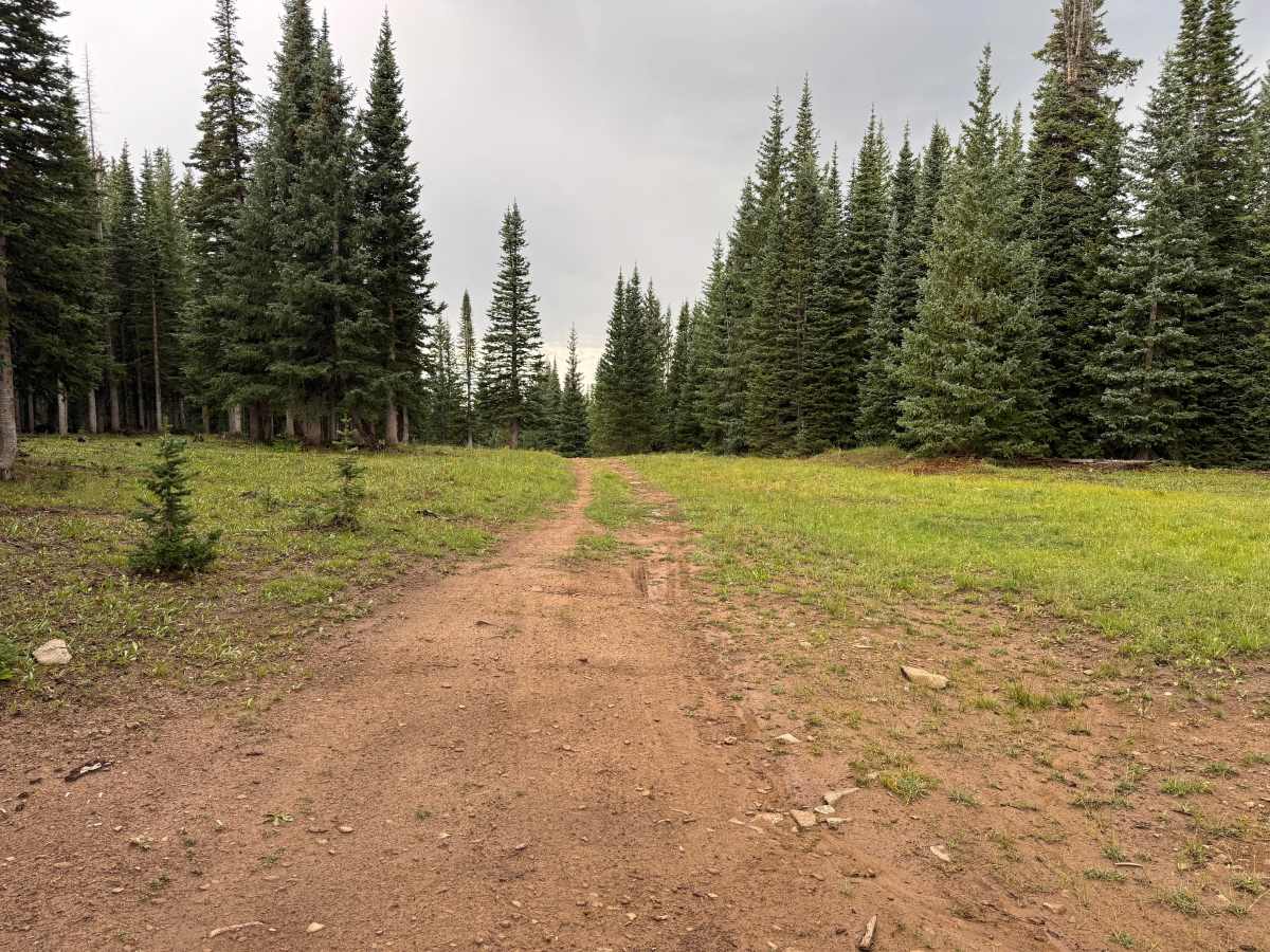 Dillons Cabin B Road photo 5