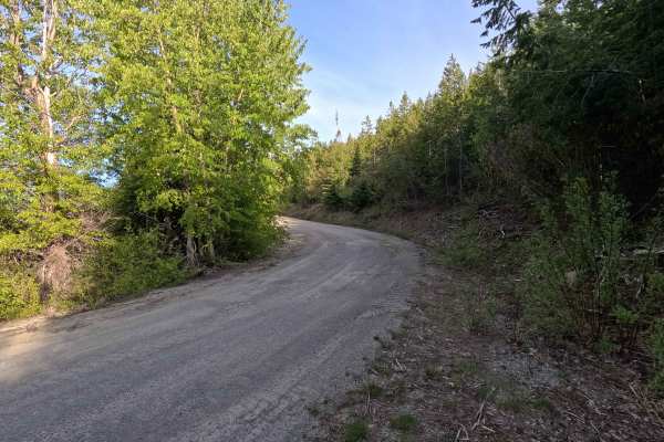 Tyee Ridge Road - FS 57