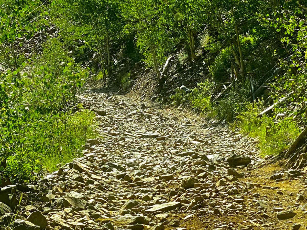 NF 520 - Rio Grande Reservoir & Headwaters photo 5