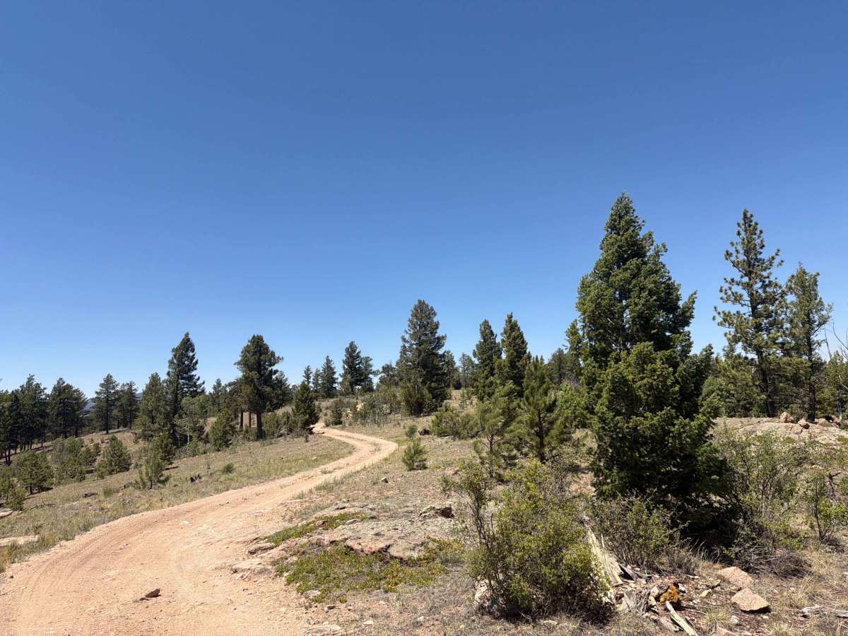 Great View Road - FS 245 photo 5