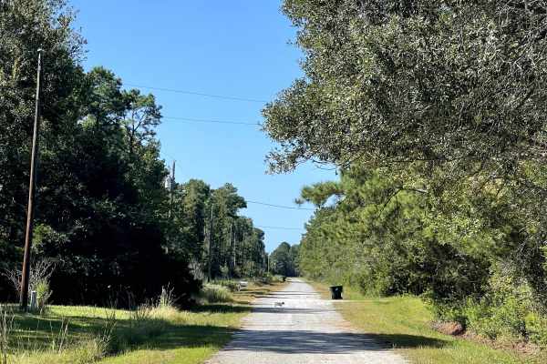 Beech Road