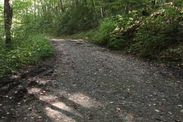 Wolf Mountain Road