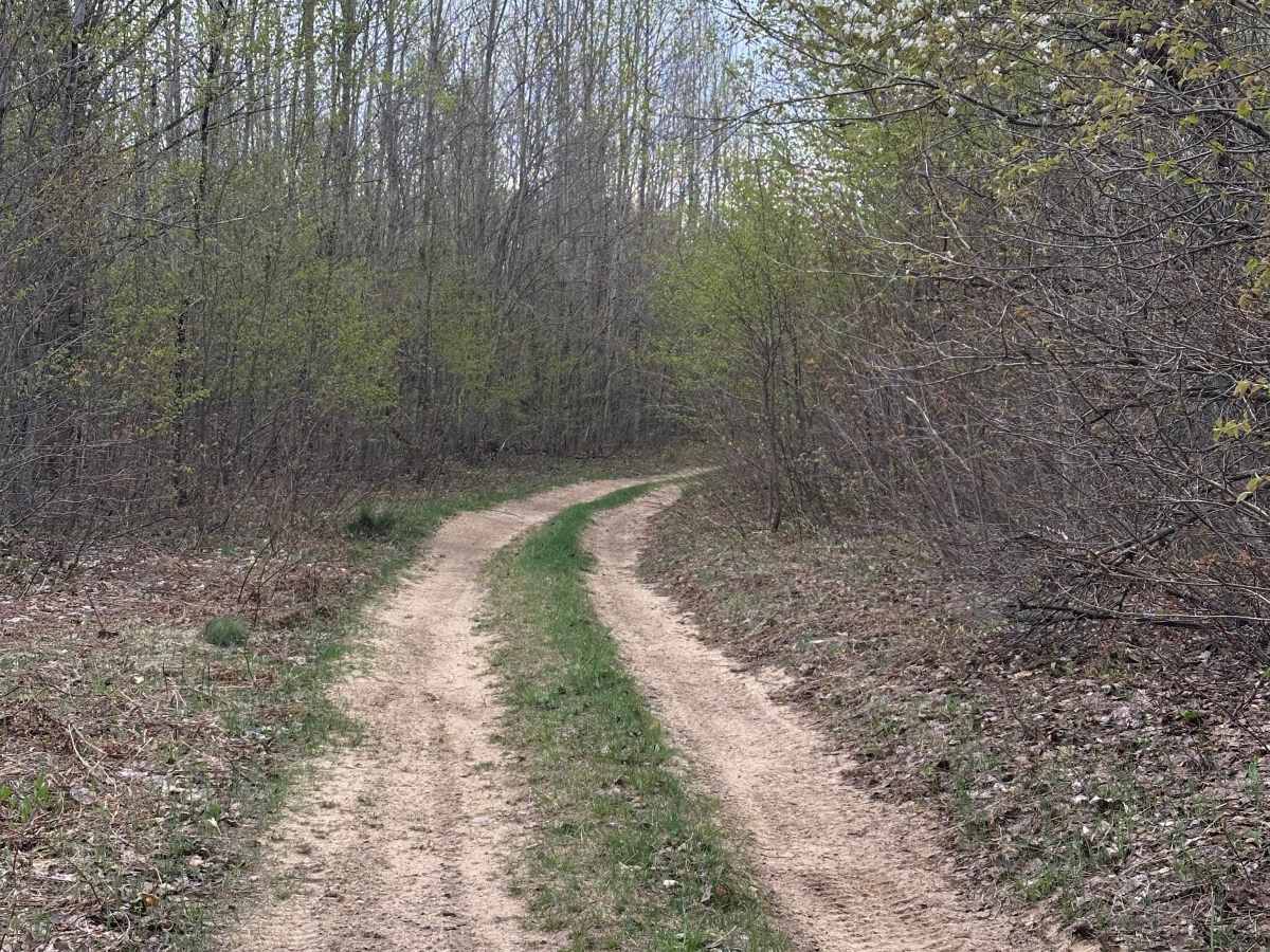 Trail 76 photo 3