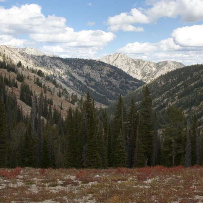 Near Alturas Lake Creek to Mattingly Divide Near Alturas Lake Creek to Mattingly Divide