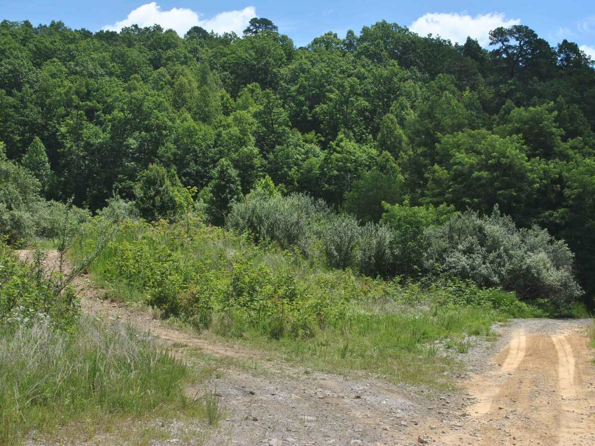 10 trail photo