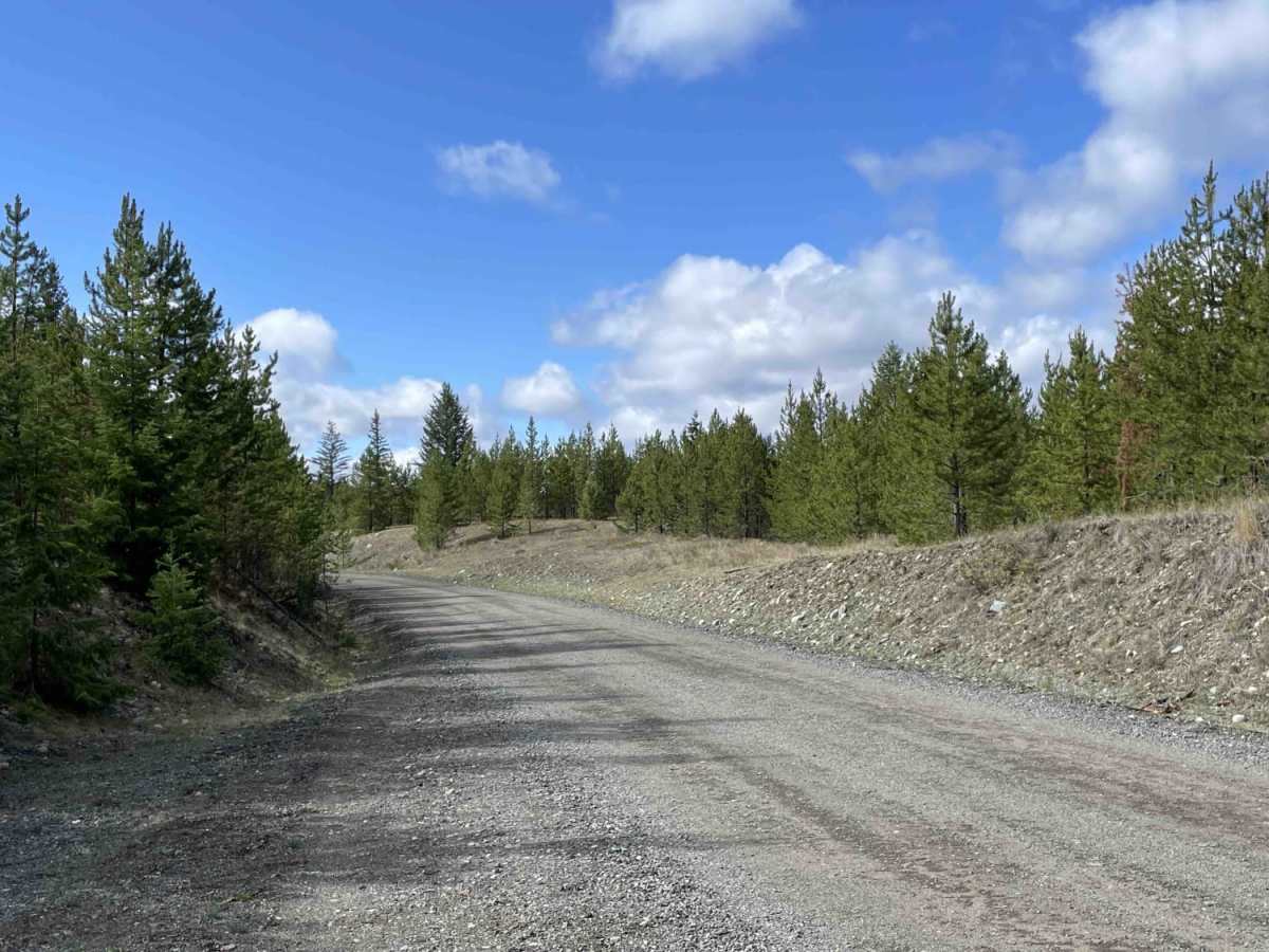 Loon Lake Rd photo 2