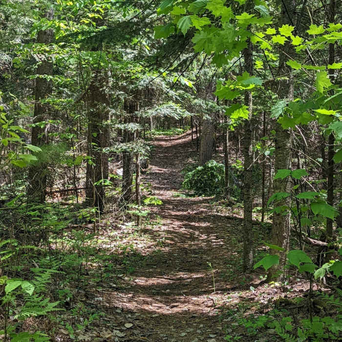 Near Nebo Trail