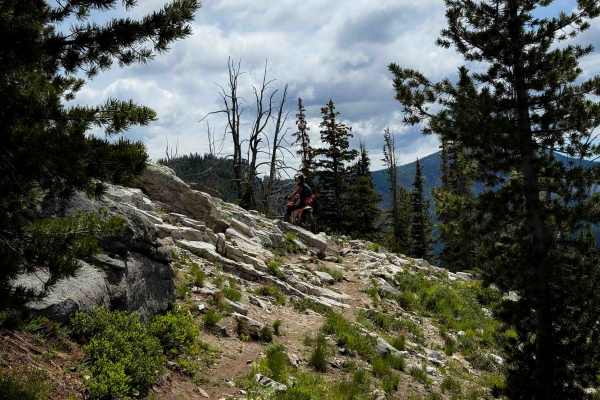 Foggy Dew Ridge - 438 