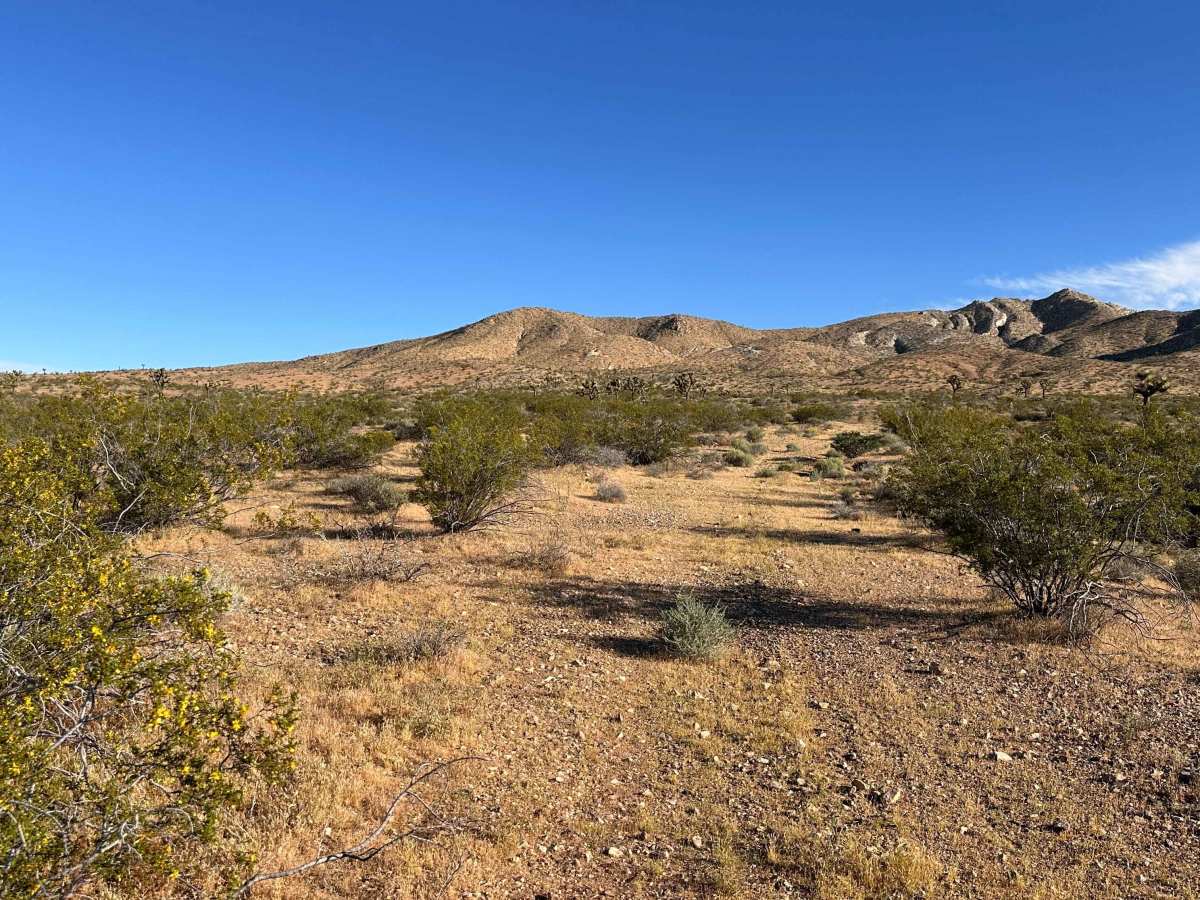 Dust Devil Trail trail photo