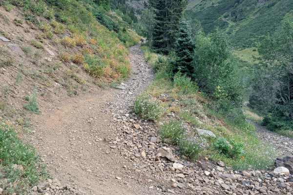 Mineral Fork Road