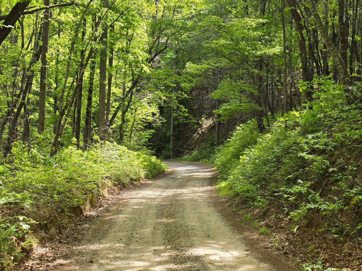 Persimmon Trail photo 5