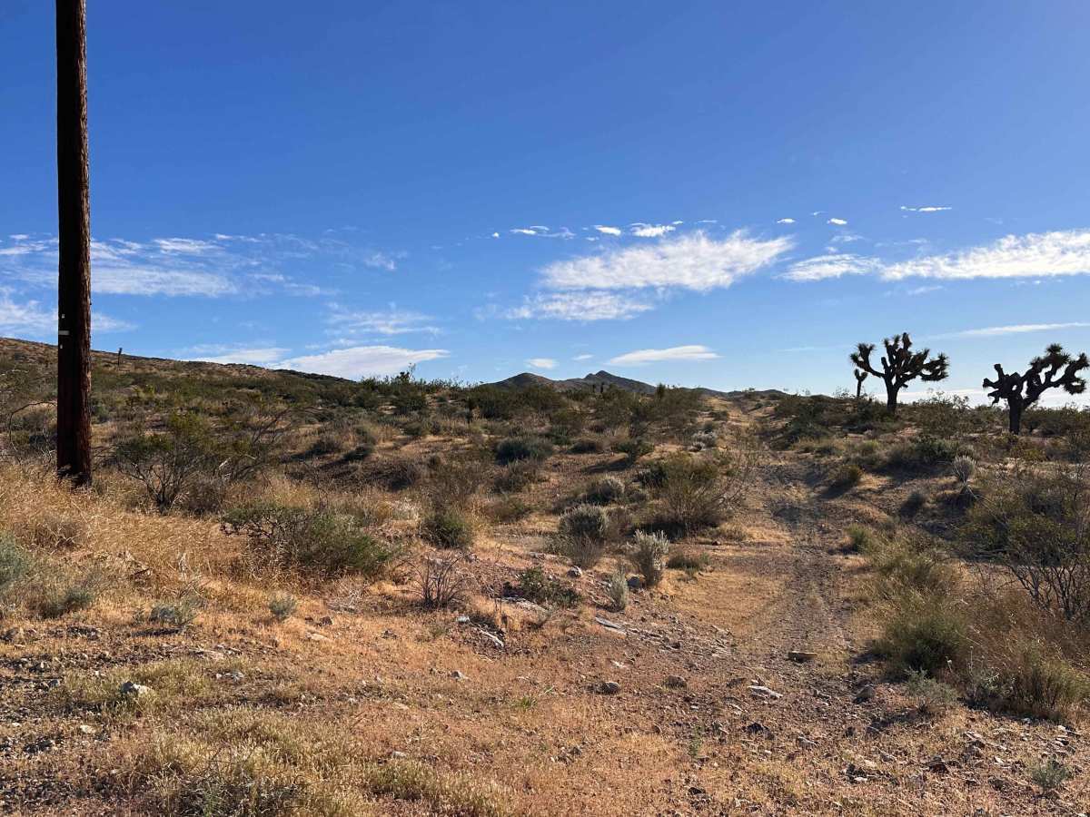 Iron Mesa trail photo