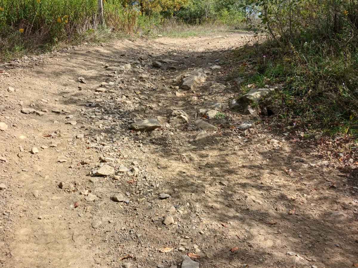 Trail 10 - Rock Run Recreation Area photo 5