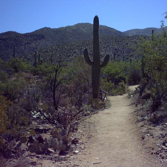 Near Wildhorse to Douglas Springs Loop