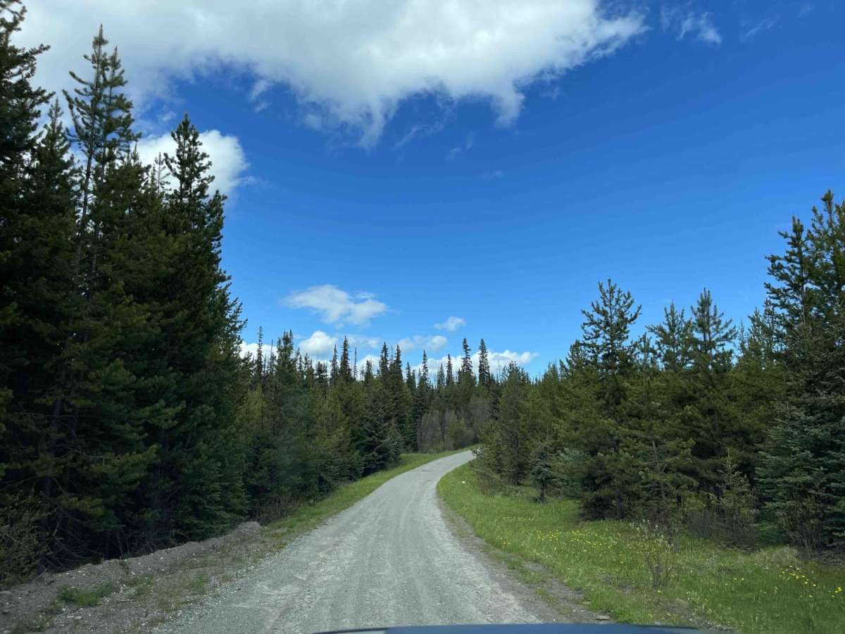 Bob Lake photo 6