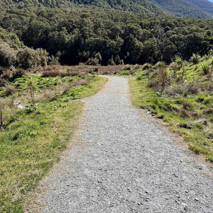 Near Blue Pools Forest Walk