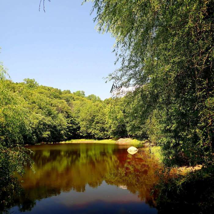 Near High Mountain Preserve Loop