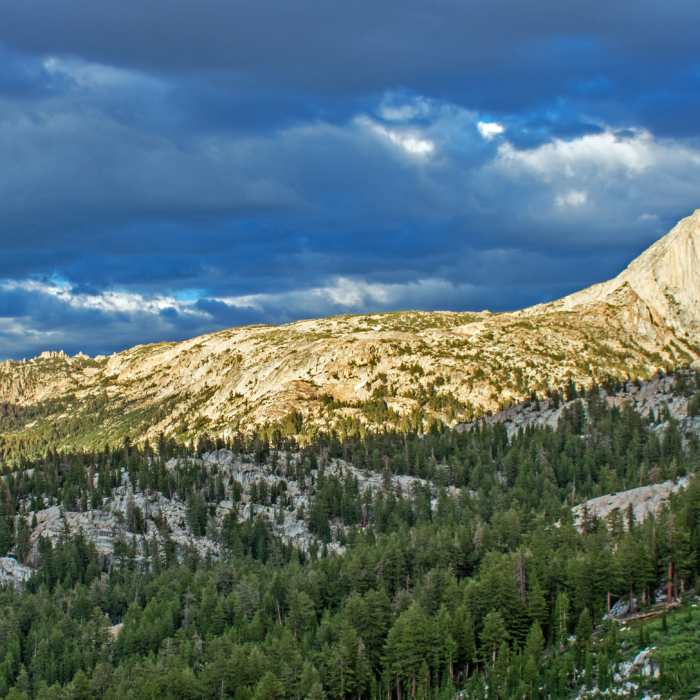 Near Tower Lake Trail