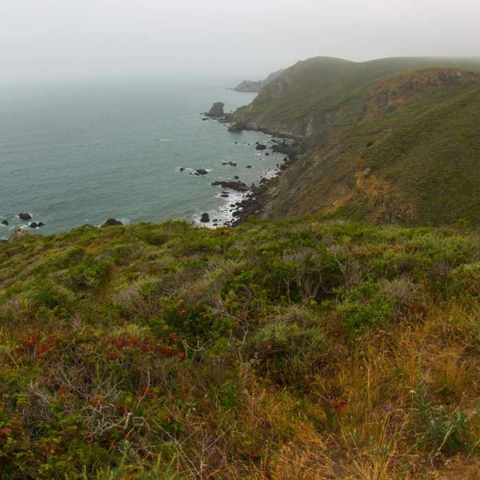 Near Coastal Trail, Rodeo Beach to Muir Beach
