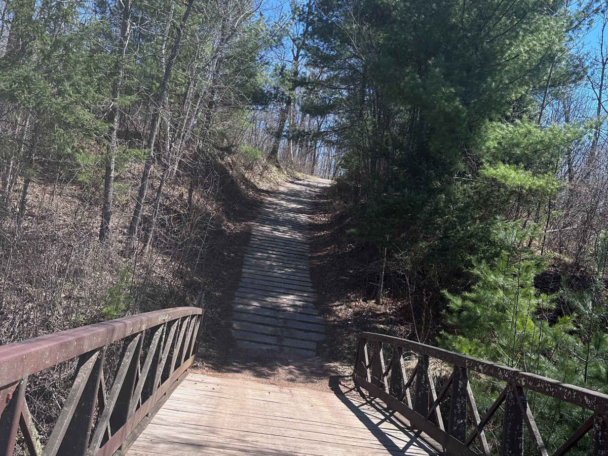 Grace Lake Trail photo 4