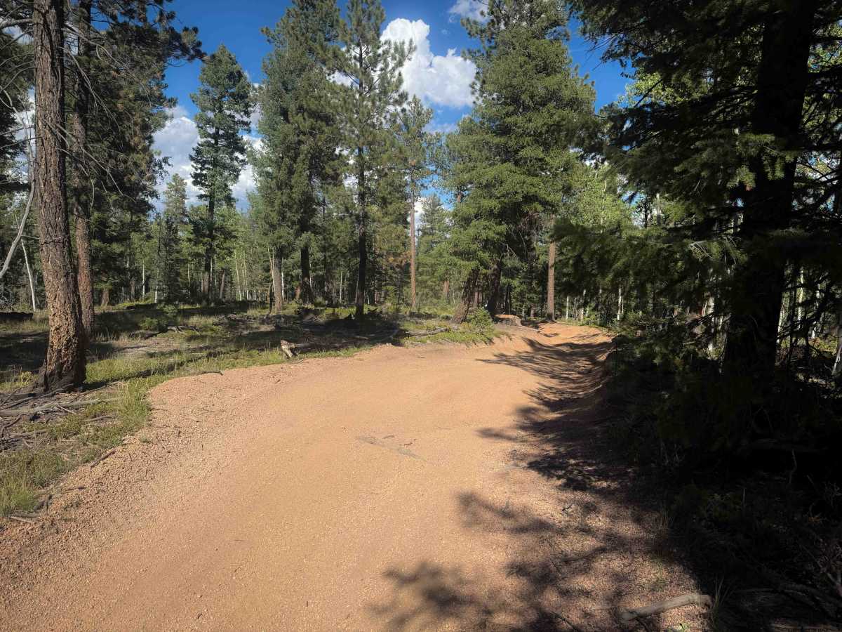 Davis Spur Trail 717C  photo 5