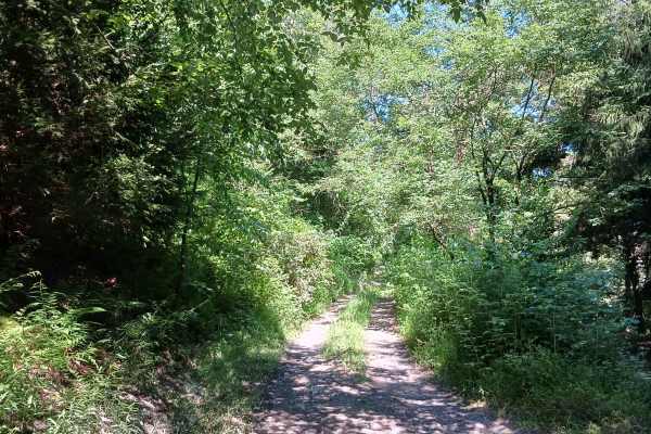 Trail 14B - Rock Run Recreation Area