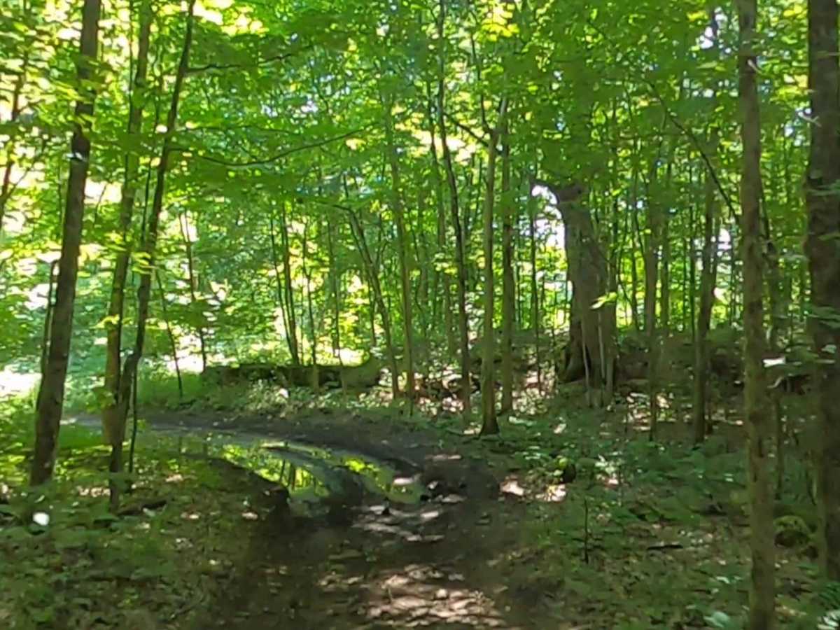 Adirondack ATV Riders Club photo 5