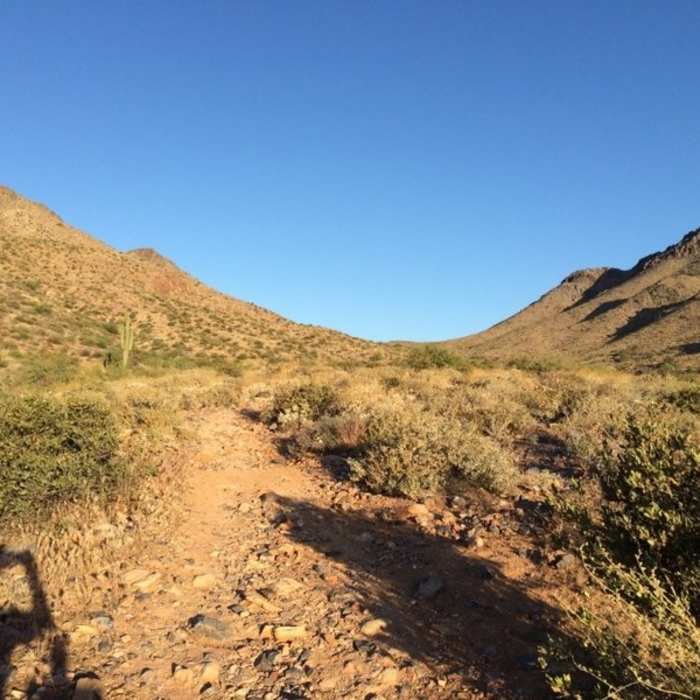 Near East End Trail