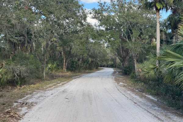 Long Bluff Road