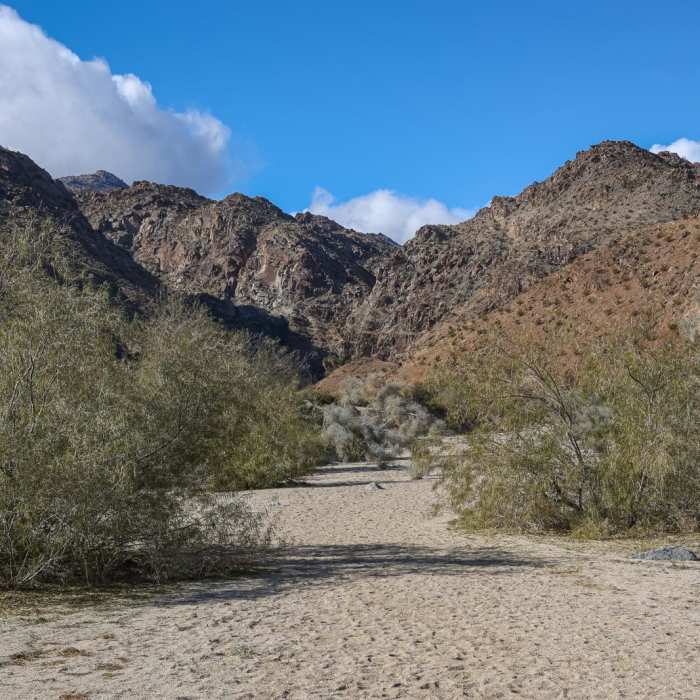 Near Dead Indian Canyon