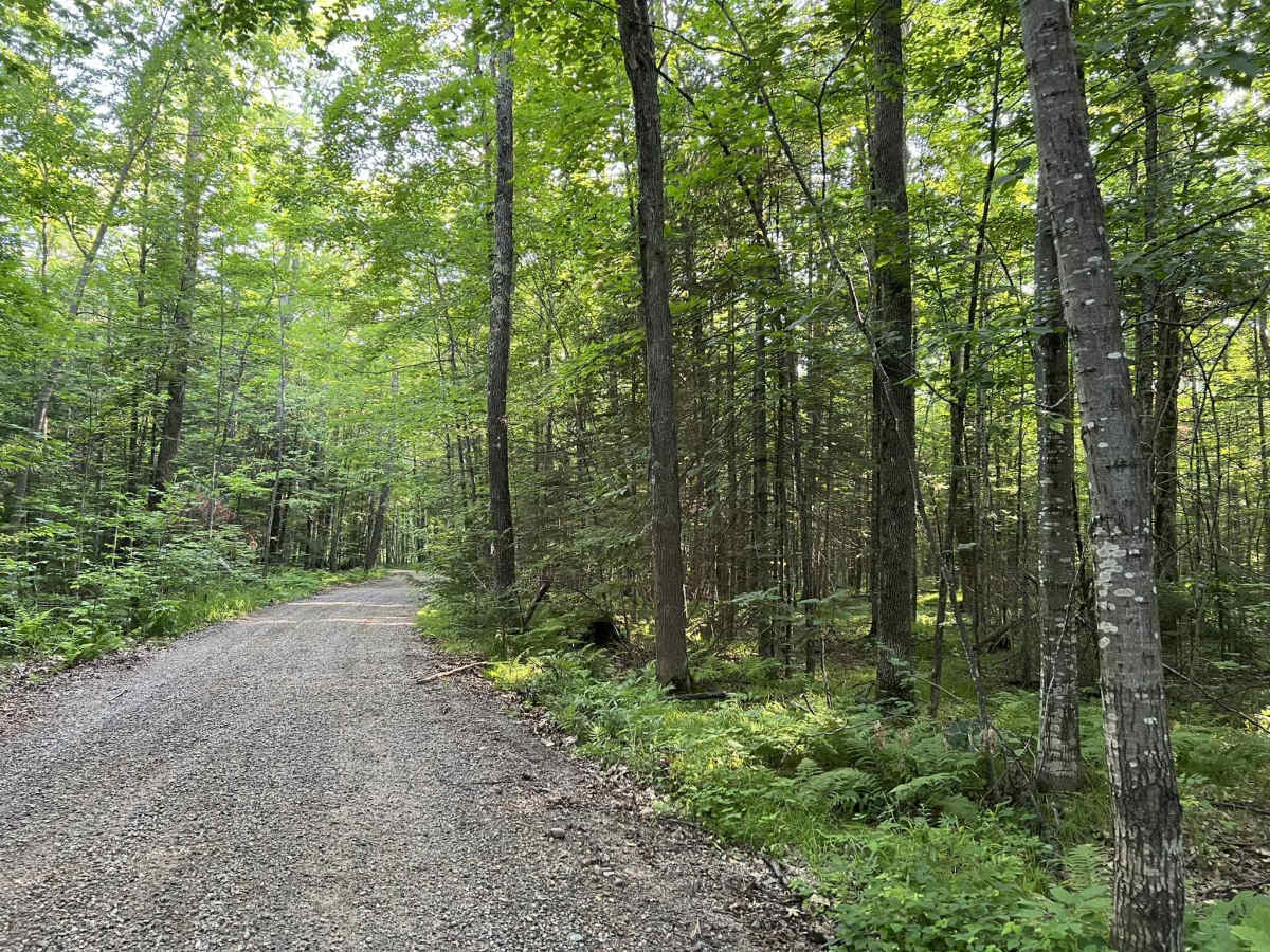 Fireside Market and Station Access Trail photo 3