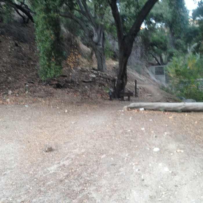 Near Fern Truck Trail