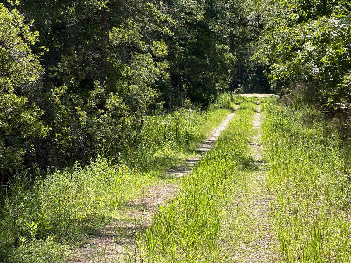 Jim‘s Road photo 6