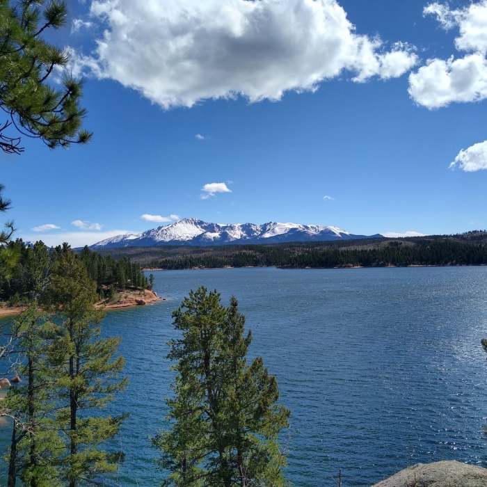 Near Rampart Reservoir Trail #700