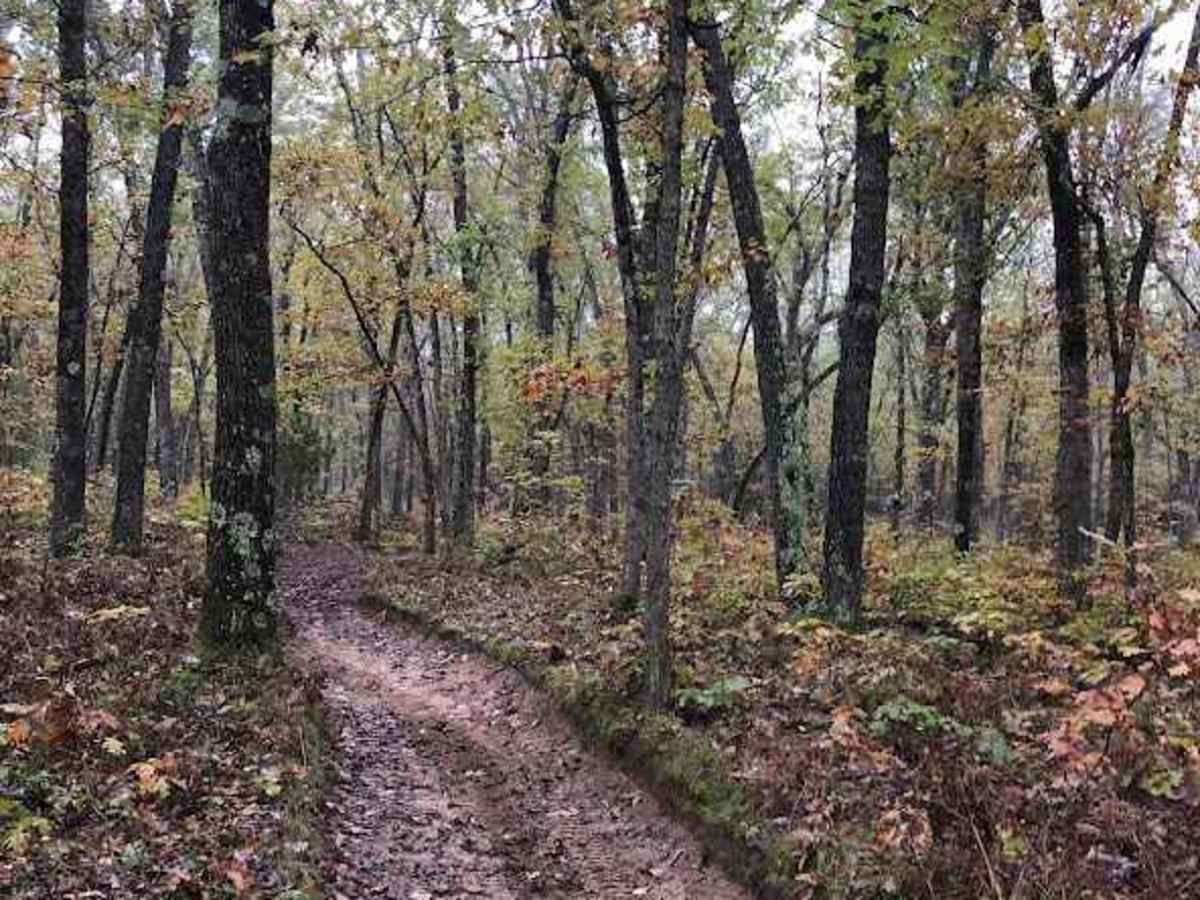 Little "O" Motorsport Trail trail photo